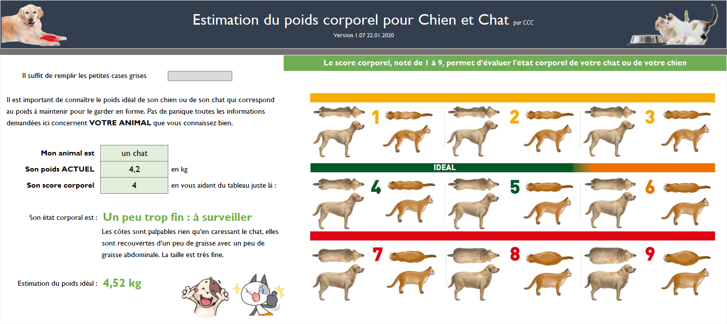 Calculateur de poids idéal pour chien et chat Calculateur de poids idéal pour chien et chat