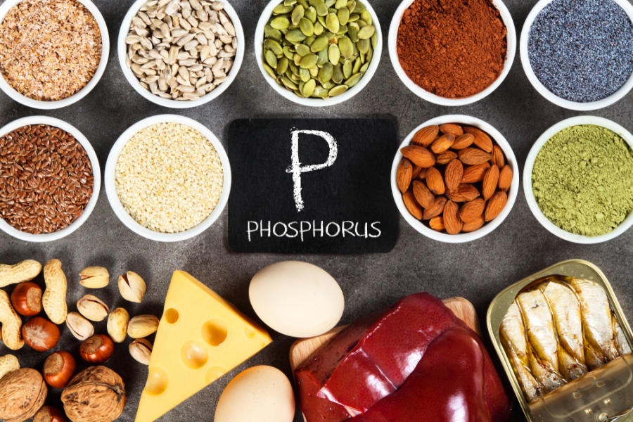 RPP rapport protido phosphorique