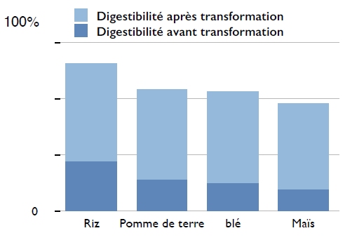 Digestibilité des sources d'amidon dans les croquettes avec ou sans céréales