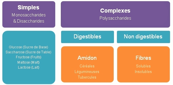 La classification des glucides La classification des glucides