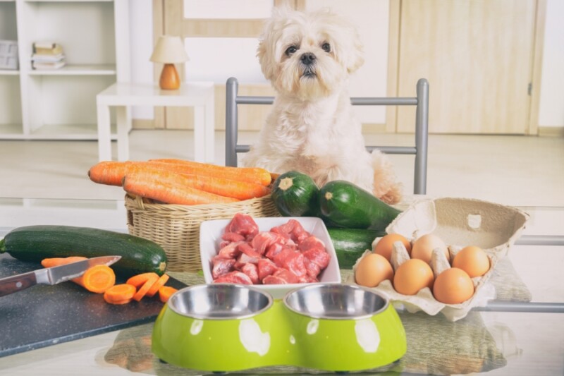 Logiciel Calcul Ration Menagere Chien Calculer la ration ménagère de son chien - Une gamelle au top