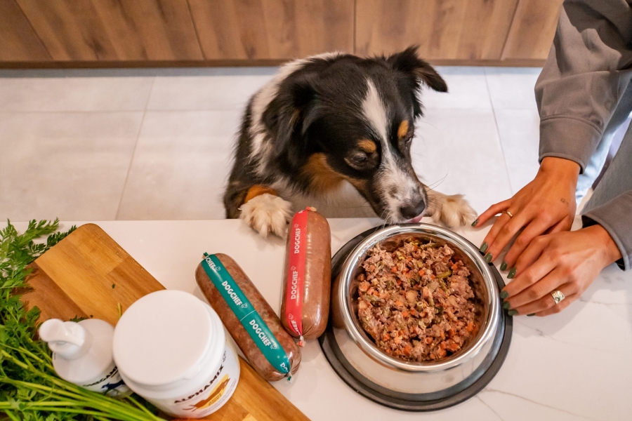 Comparatif rations ménagères Dog Chef Elmut Pepette Miamnimaux Foodforjoe Dogfydiet Comparatif rations ménagères Dog Chef Elmut Pepette Miamnimaux Foodforjoe Dogfydiet
