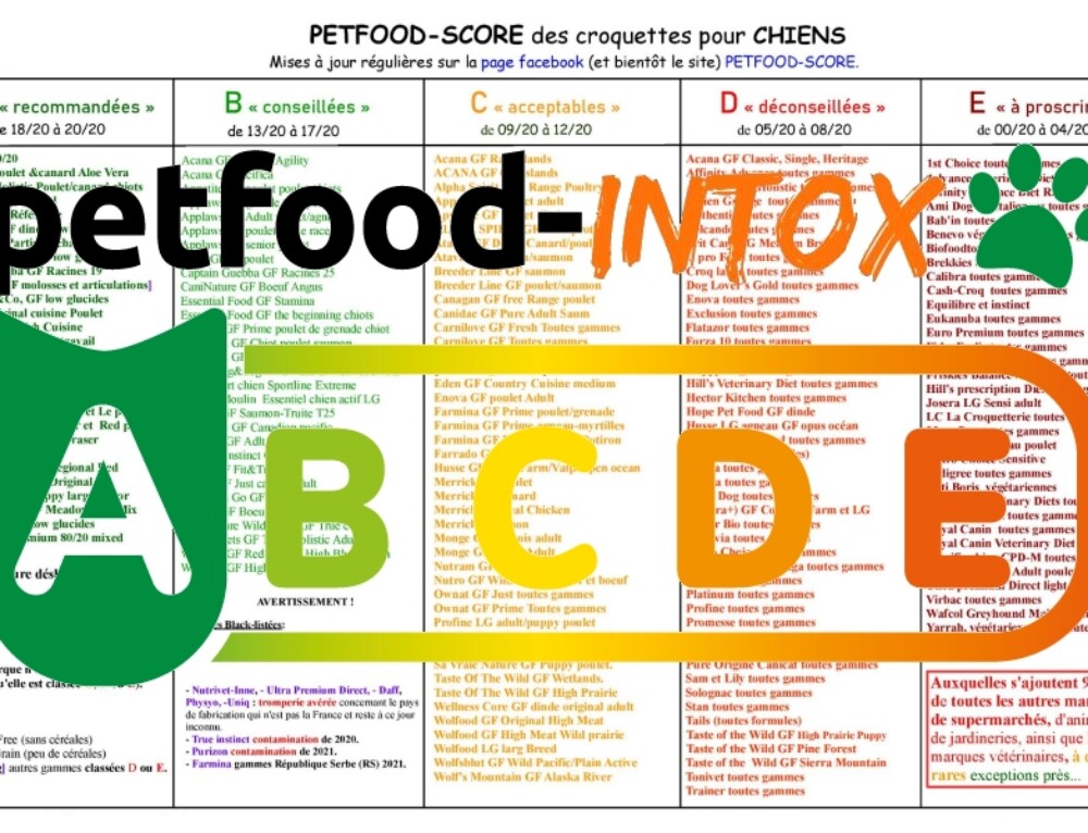 Choisir des croquettes adaptées à son chat Une gamelle au top