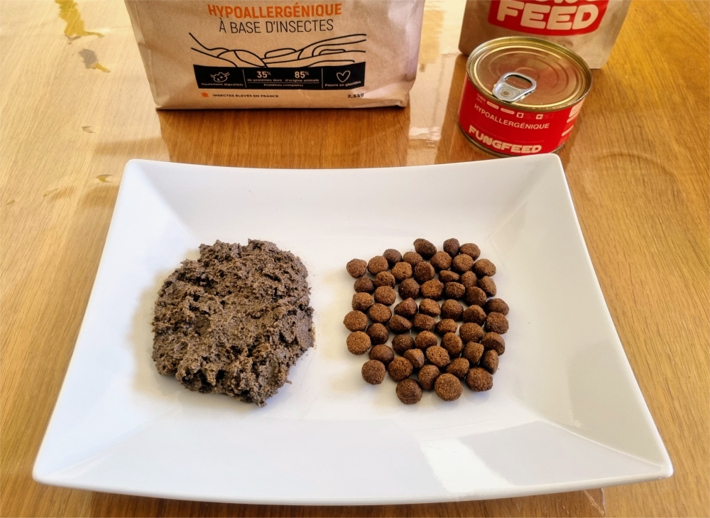 Test produits fungfeed patée croquettes aux insectes