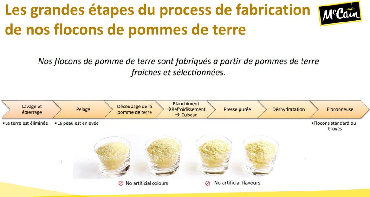 La pomme de terre des croquettes est-elle vraiment toxique ? - Une
