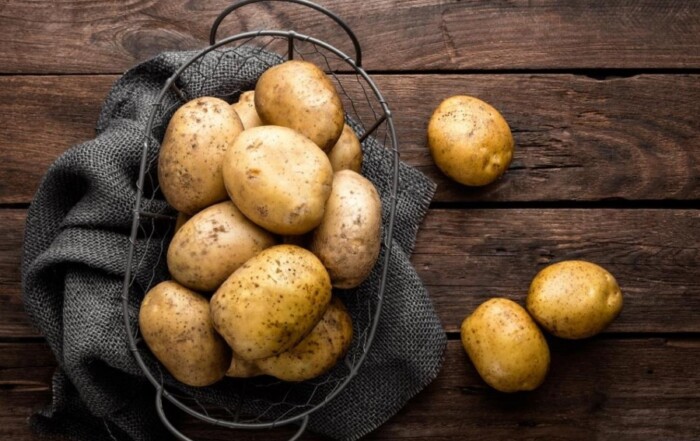 Pomme de terre croquettes solanine