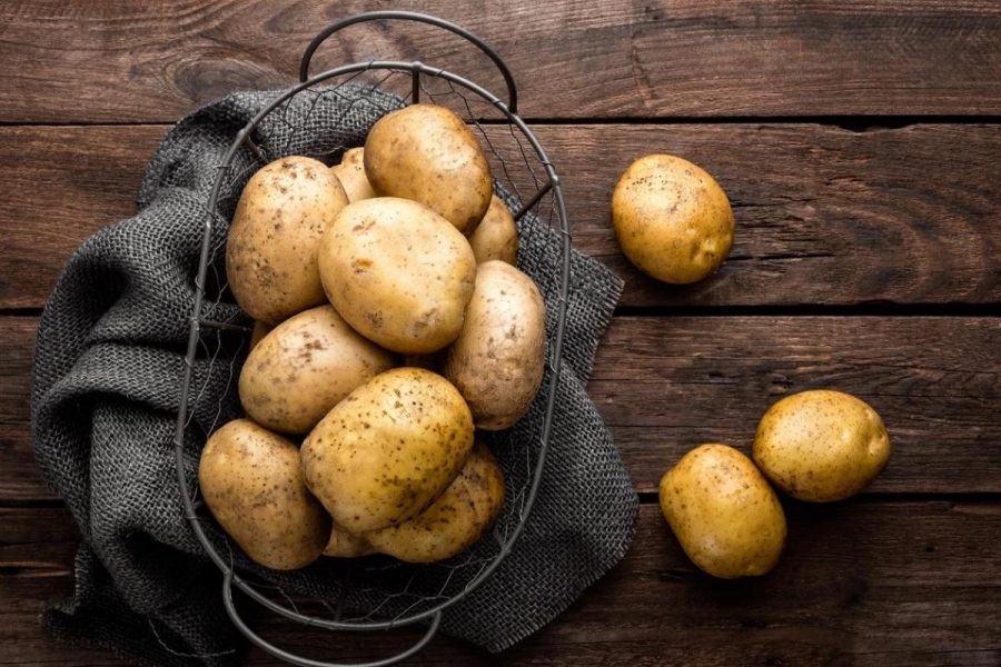 Pomme de terre croquettes solanine