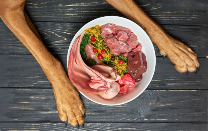 Les éleveurs chat chien au barf