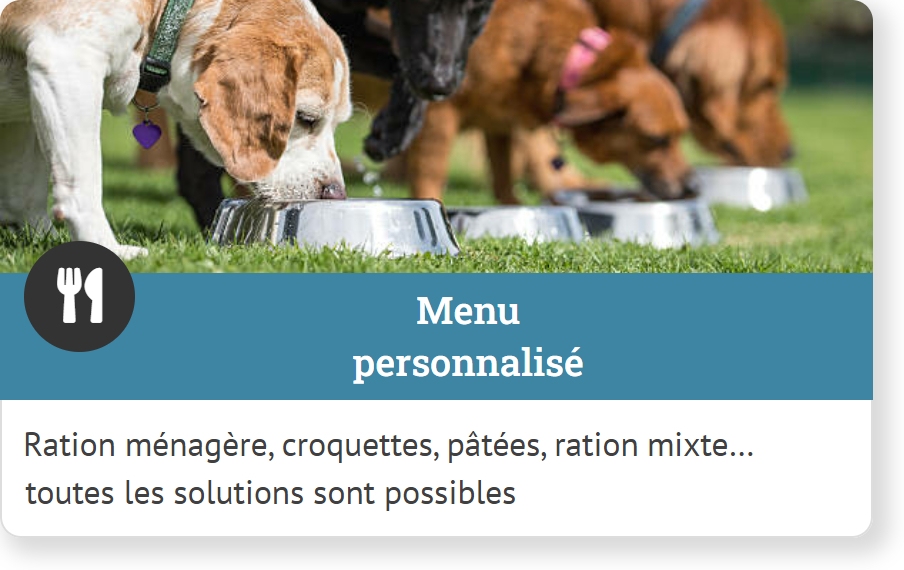 Nutritionniste chien chat - Menu personnalisé