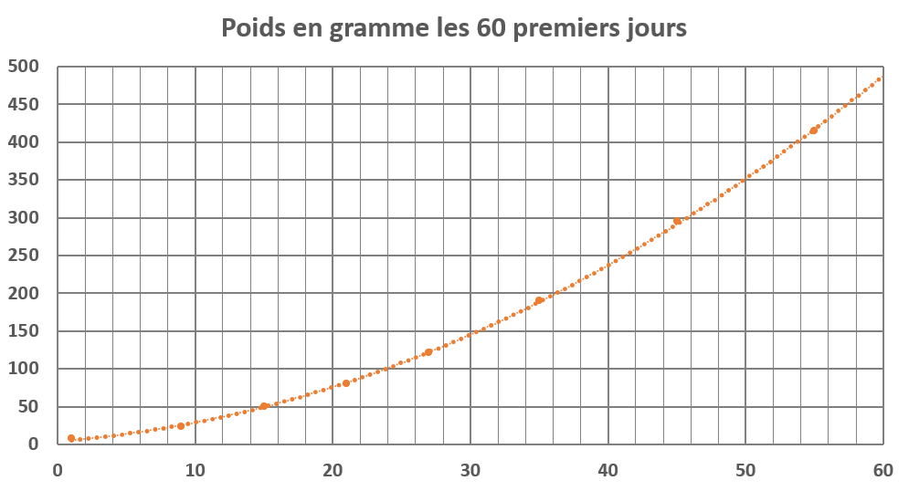 Courbe de croissance du hérisson juvénile