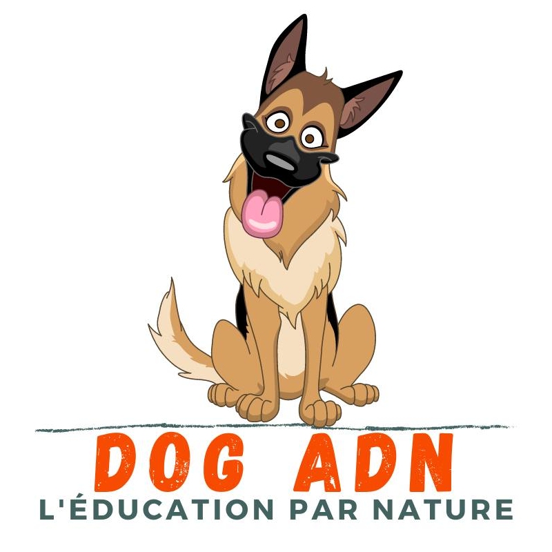 Dog ADN : rendre hommage au meilleur ami de l’homme en lui dédiant ce podcast
