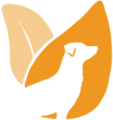 Chiens Nature & Cie : Des masterclass et formations en ligne pour mieux nourrir, comprendre et prendre soin de son chien grâce aux conseils de vétérinaires, experts et thérapeutes passionnés