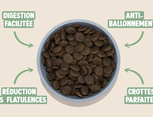 Les abus marketing dans la petfood