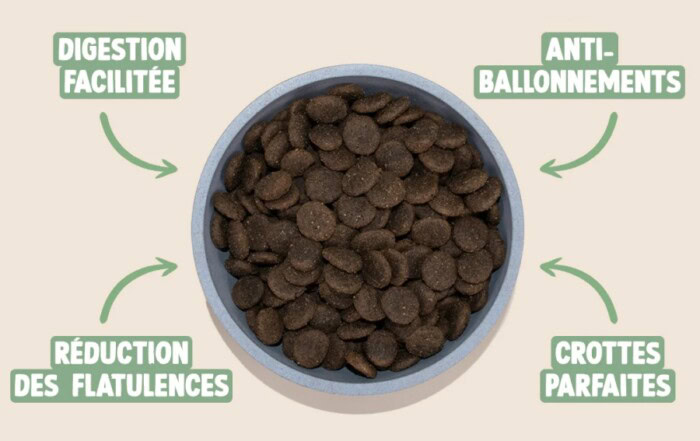 Marketing abusif croquettes chien chat petfood