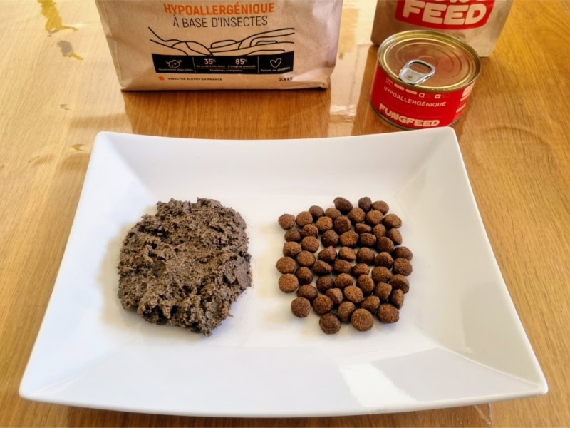 Croquettes patées chien chat