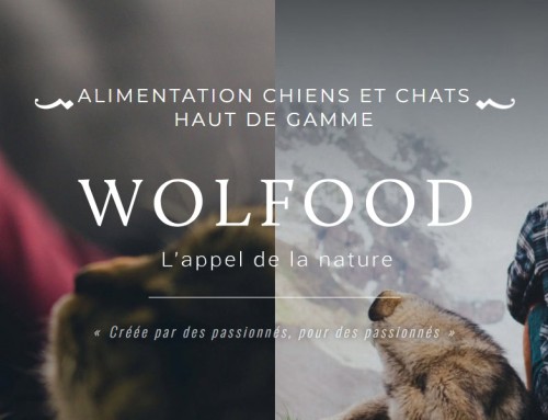 Wolfood, la petite marque de croquettes qui a tout d’une grande