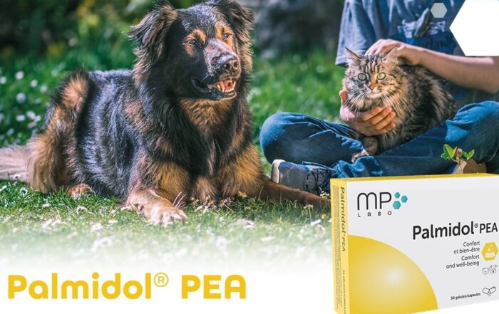 Palmitoyléthanolamide dog cat pea