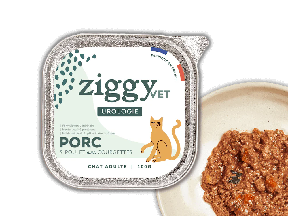 Ziggy Vet utologie porc Ziggy Vet gamme vétérinaire urologie diabète insuffisance rénale