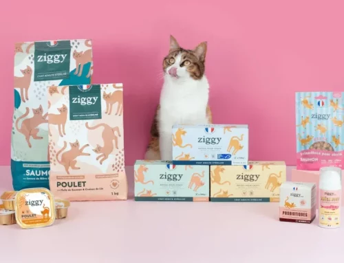 Comment Ziggy est devenue une référence de la nutrition féline